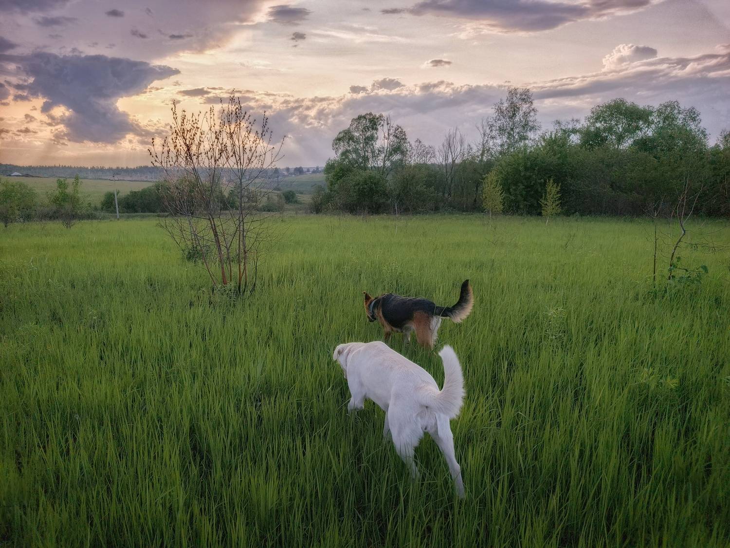 , Кондрашова Светлана