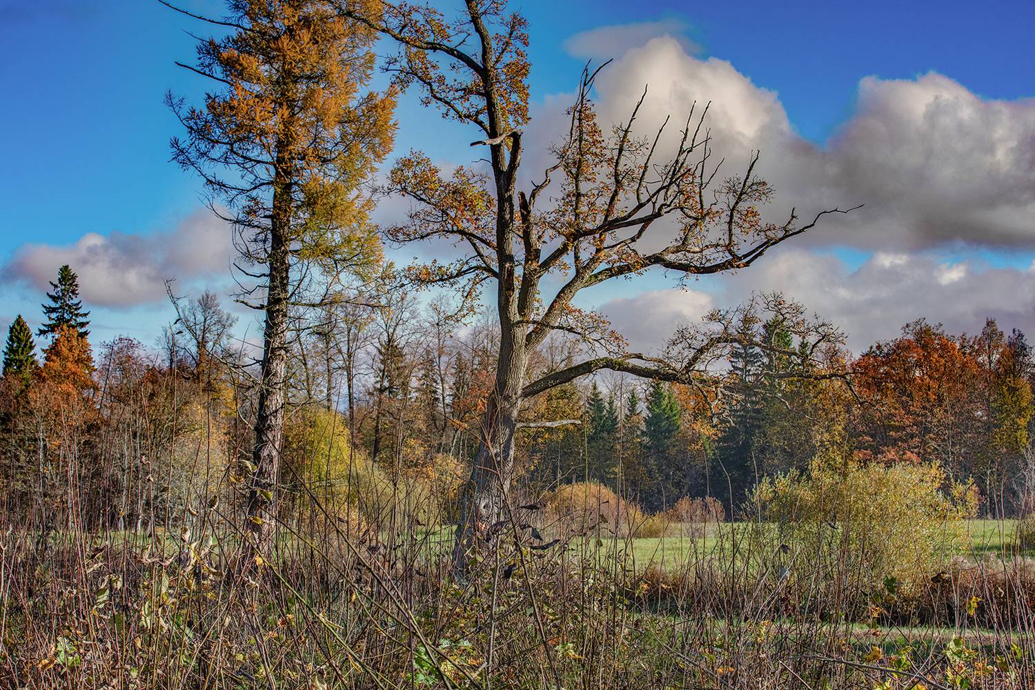 , Aleksandr Mihailov