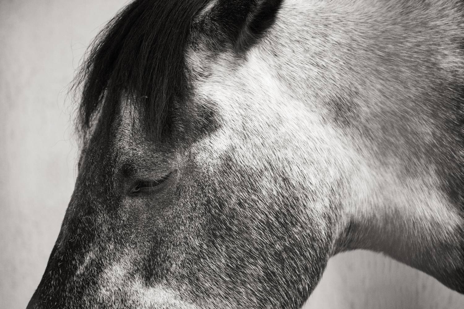 , ssmirs Сергей