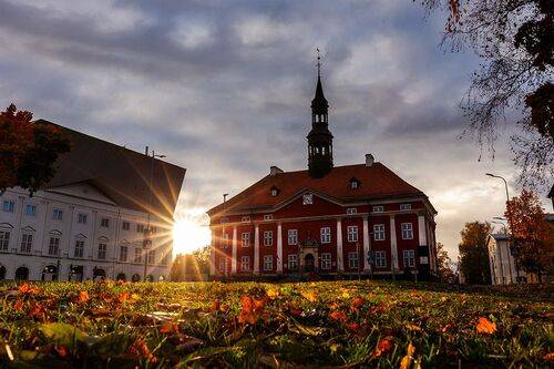 В свете октября