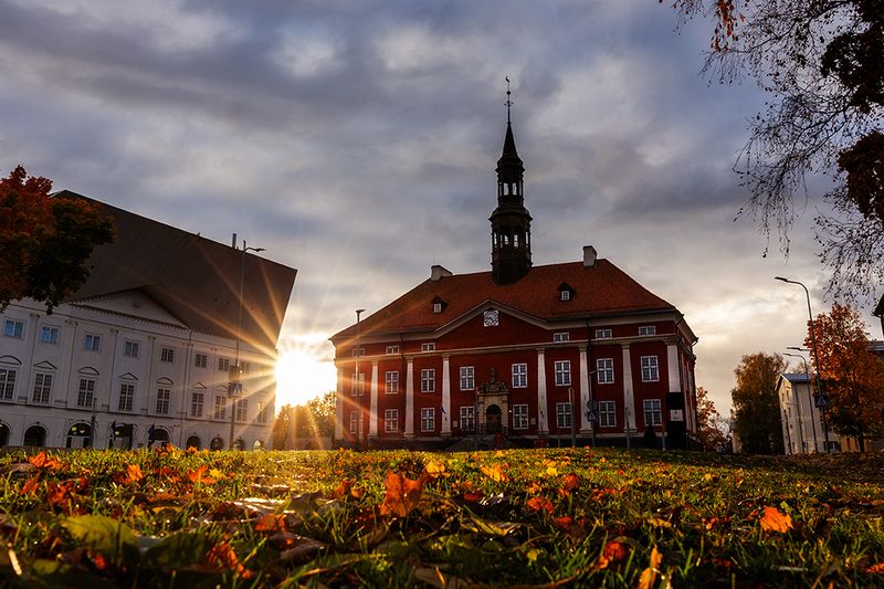 нарва ратушная площадь октябрь солнце листья В свете октября фото превью