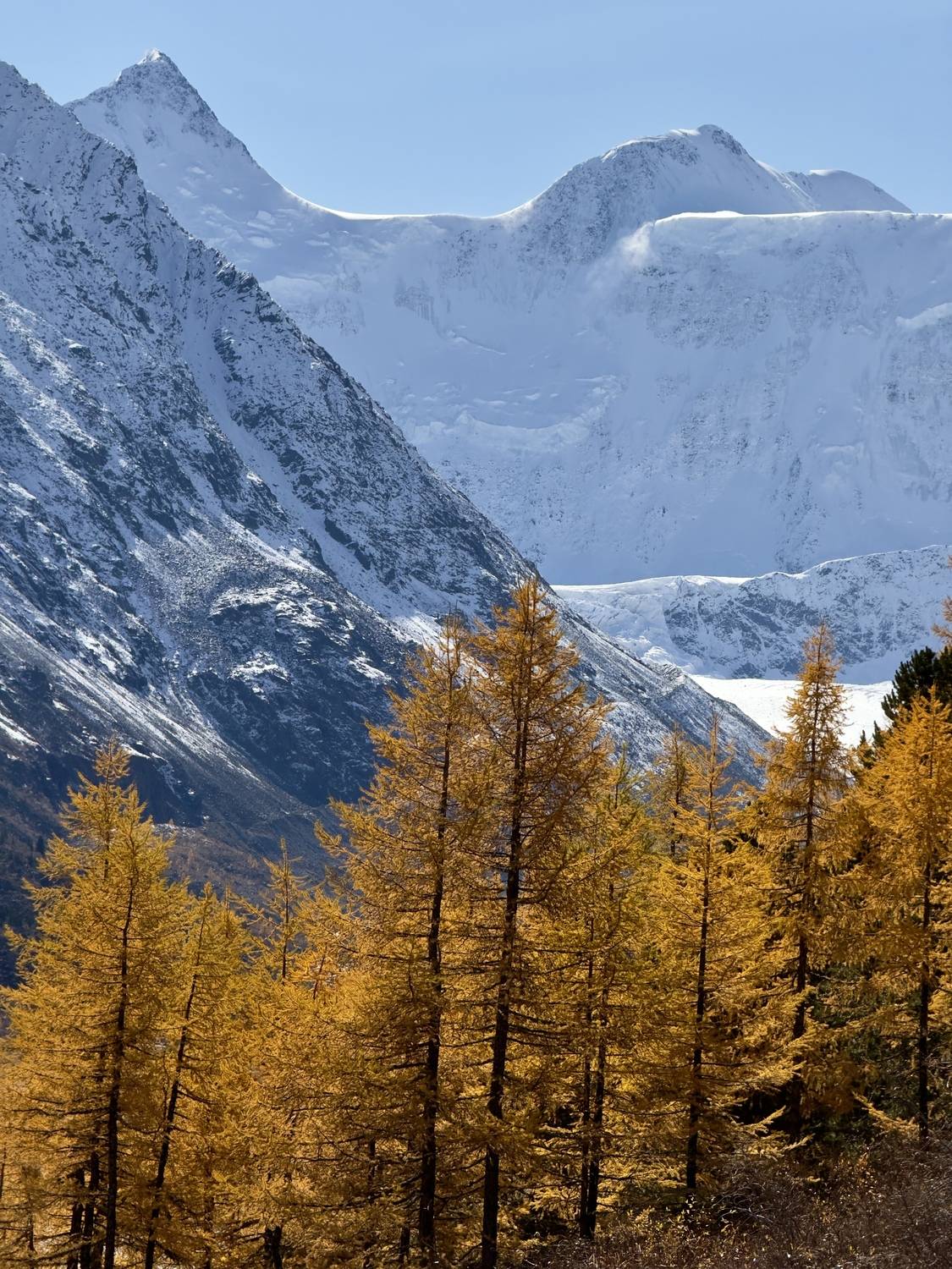 , Oleg Matronitskiy  olegmatr@mail.ru