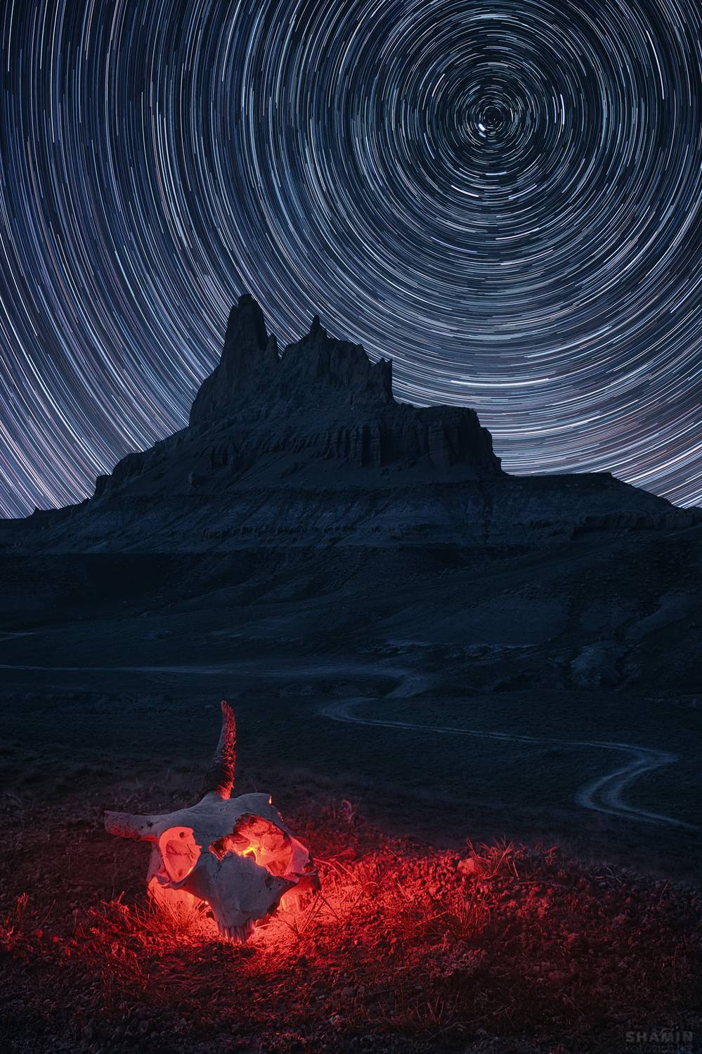 , Константин Шамин