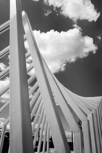 Переходные формы