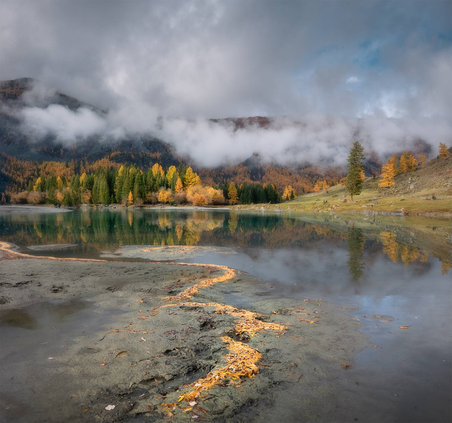 алтай, осень, река, лиственницы, хвоя, туман, облака, Сергей Буторин