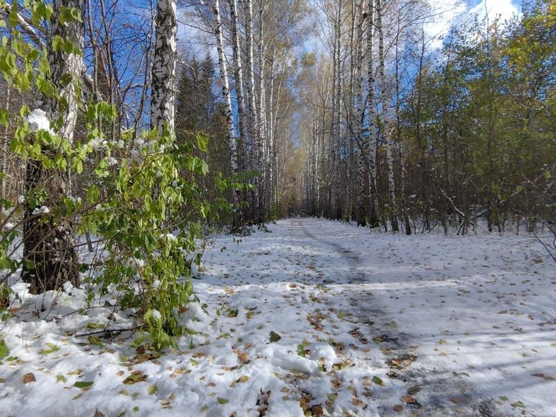 Снежный октябрь фото превью