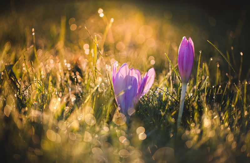 Рассвет... фото превью