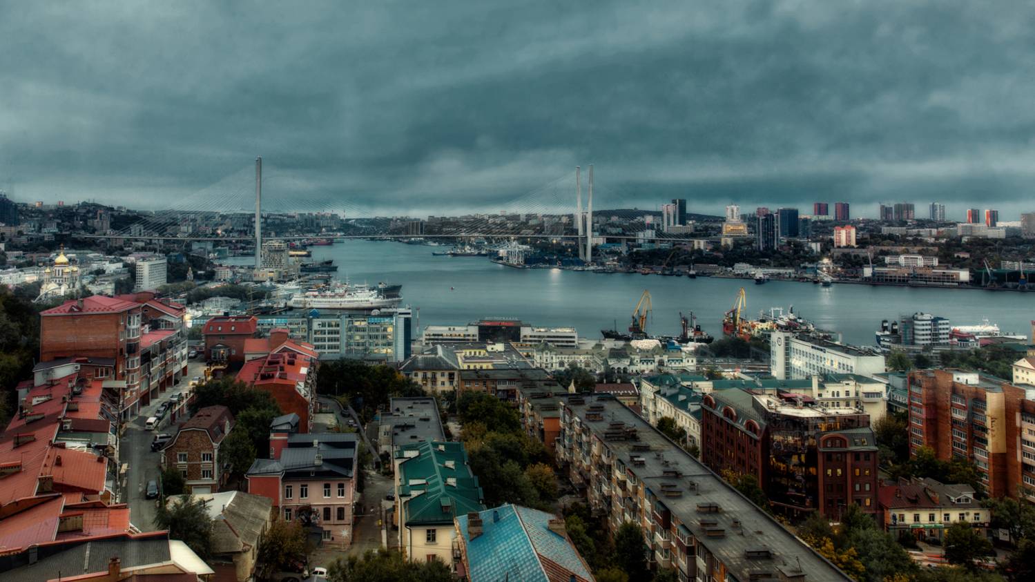 , Герц Дмитрий