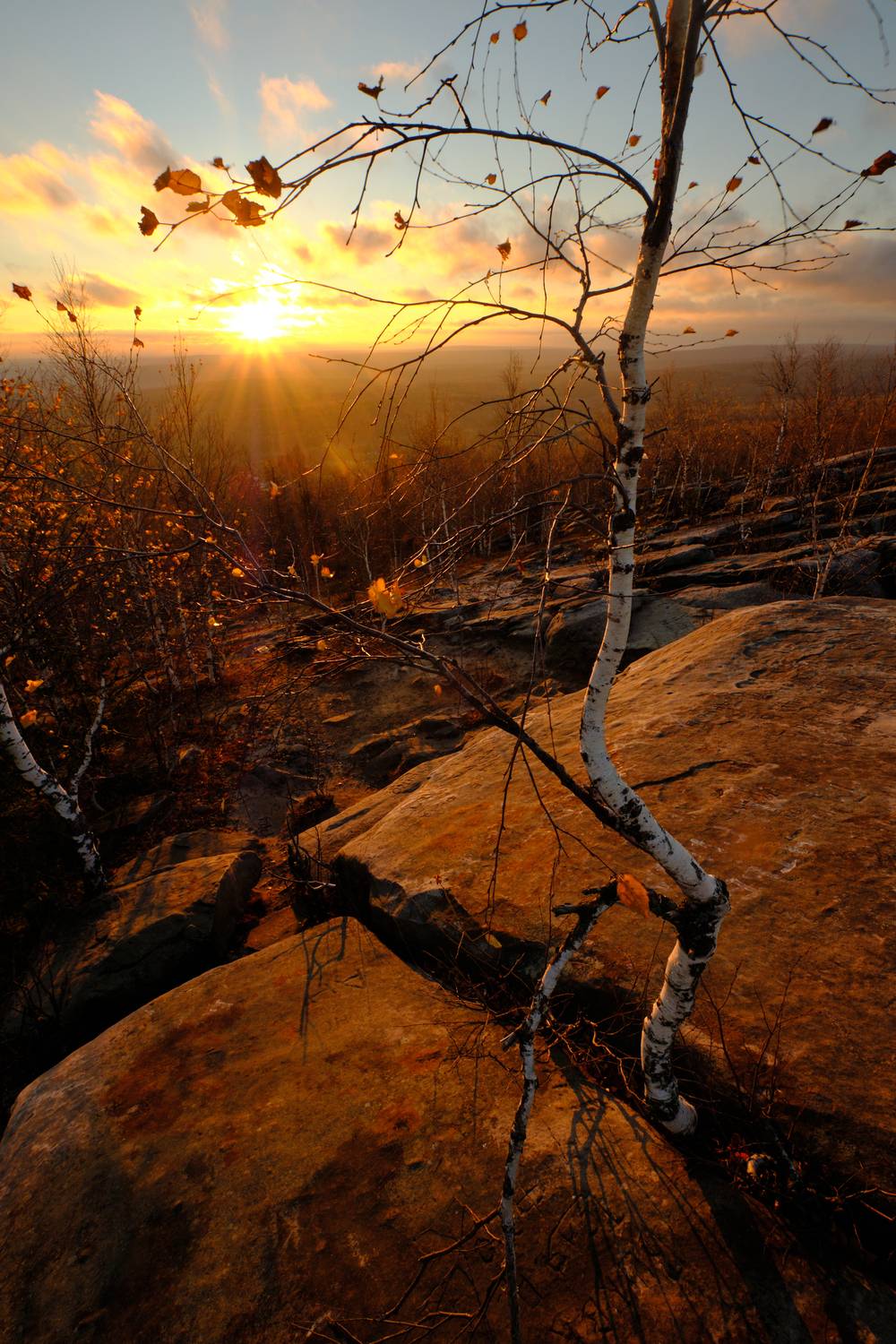 , Савицкий Ян