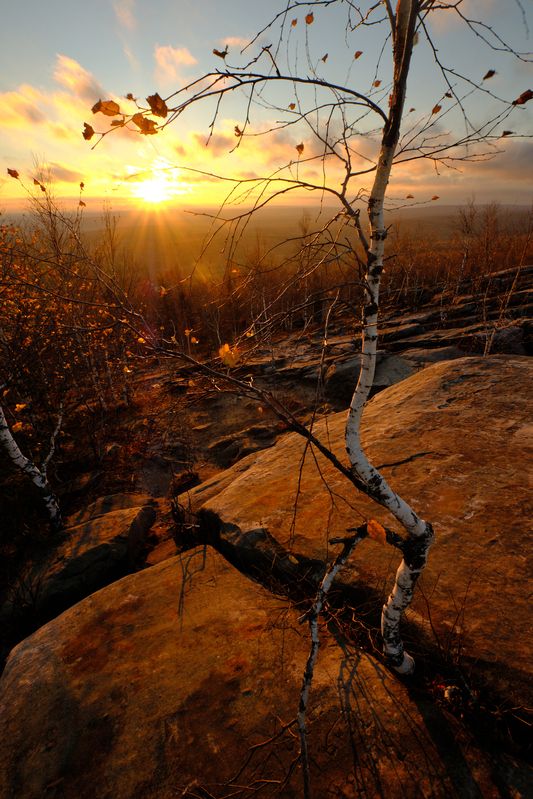 Сильнее камня фото превью
