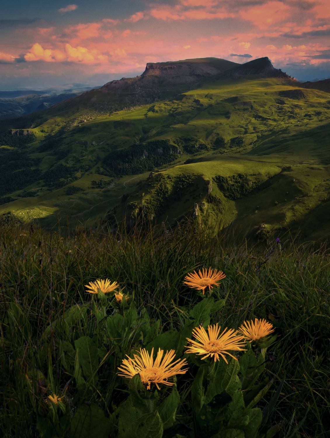 природа, пейзаж,, Andrey