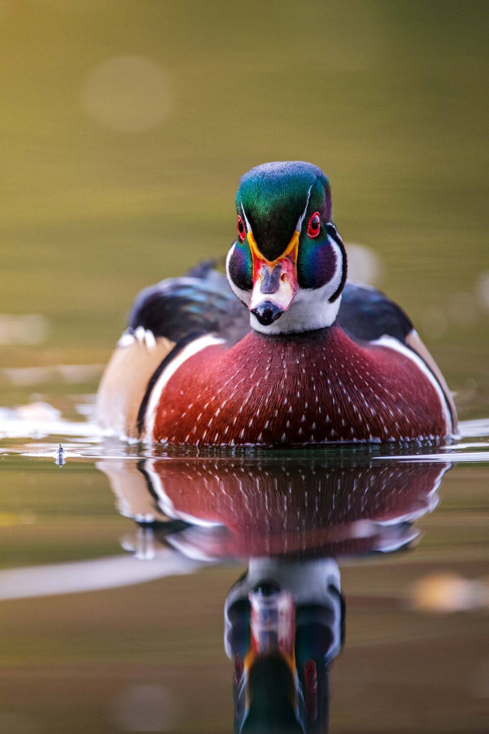 , Павел Ныриков