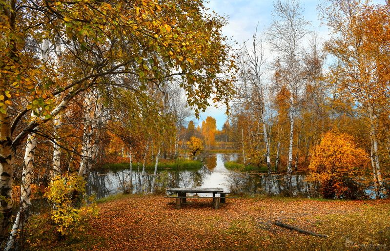 Посидим? фото превью