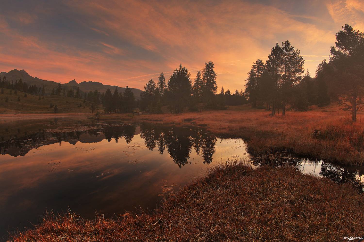 swiss, Матвеев Николай