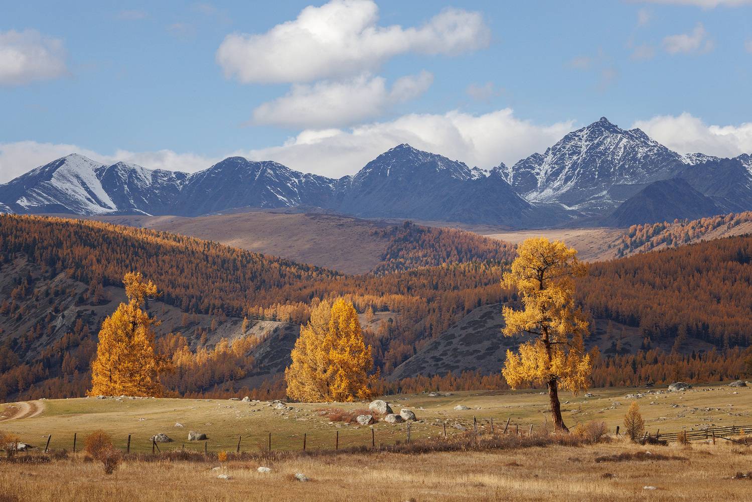 алтай, горный алтай, джазатор, беляши, лиственницы, горы, облака, Морозов Сергей