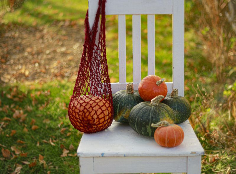 натюрморт, фотонатюрморт, still life, stillifefoto, осень, тыква,овощи, наталья_казанцева Октябрьским деньком фото превью