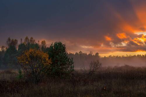 Закат после дождя