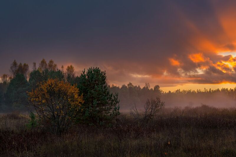 осень закат туман тюряха речка большой холм Закат после дождя фото превью