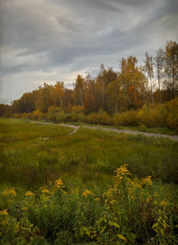 *** фото превью