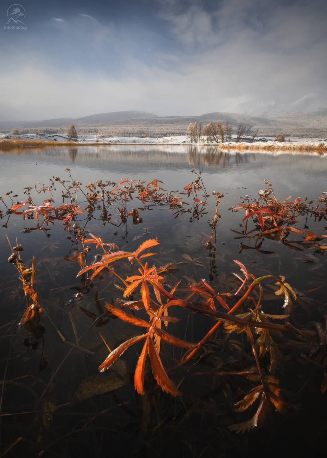 алтай, лиственницы, осень, горы, горный алтай, республика алтай, курай, фототур на алтай, осенний фототур на алтай, Гордиенко Анатолий