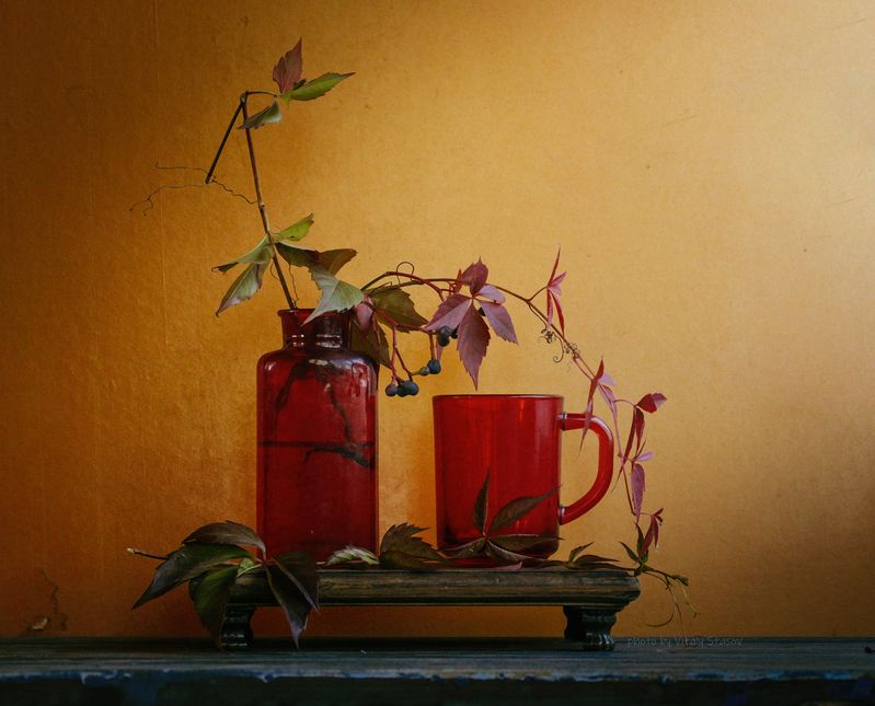 Осенний дикий виноград фото превью