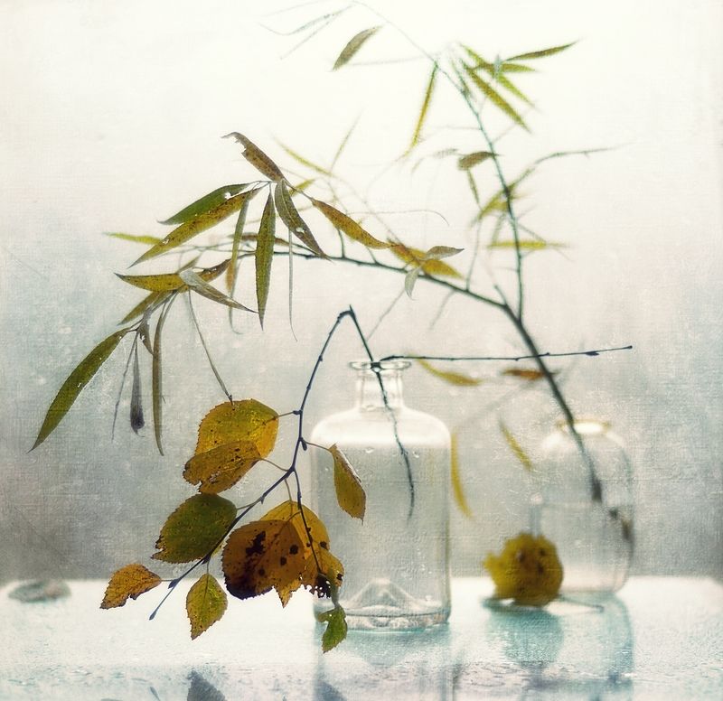 натюрморт,осень,листья,стекло осенний этюд... фото превью