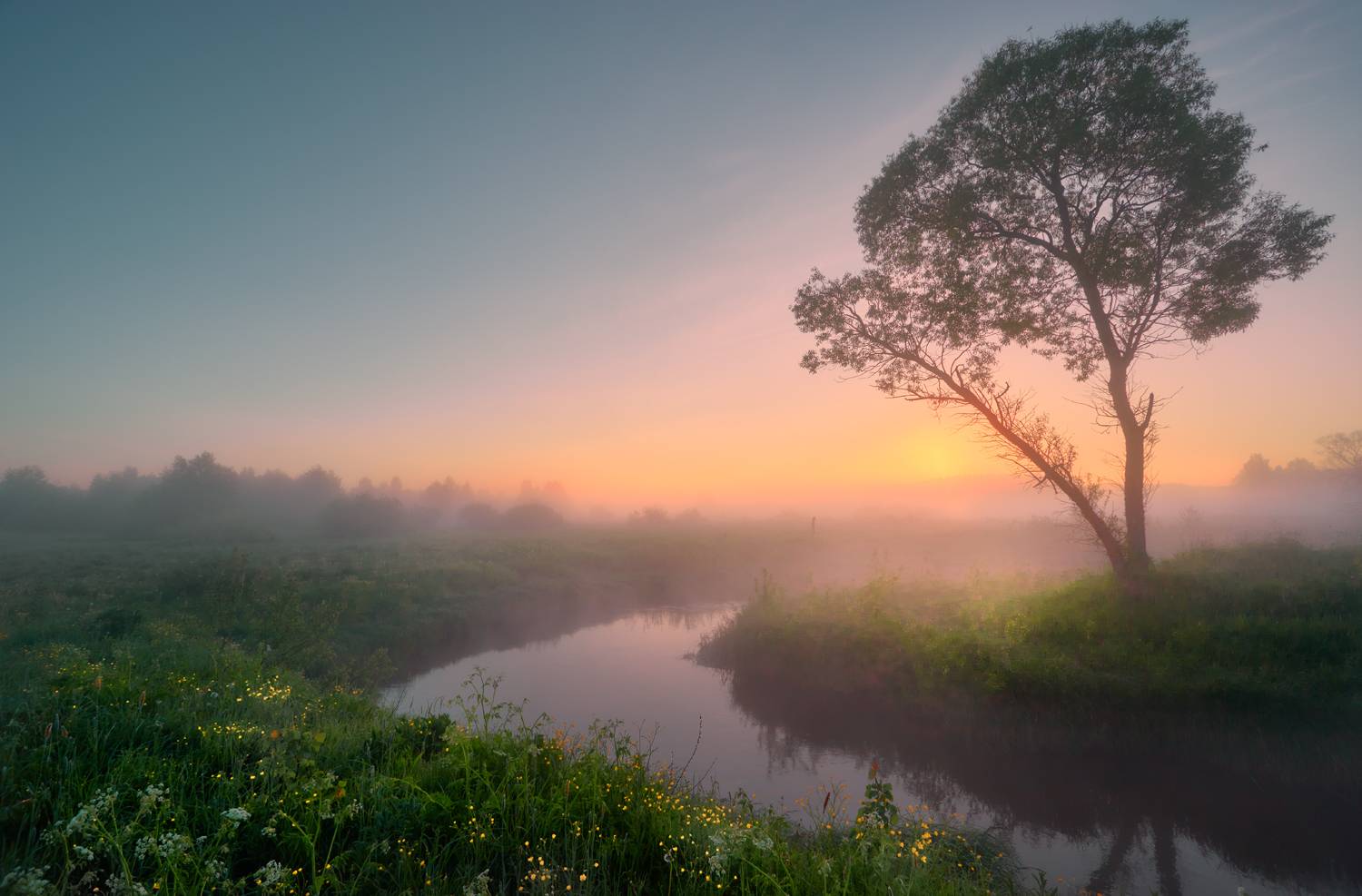 , Роман Лушпа
