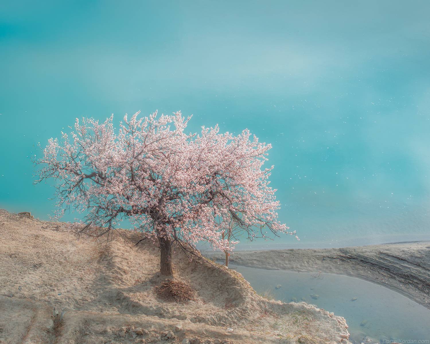 , Даниил Коржонов