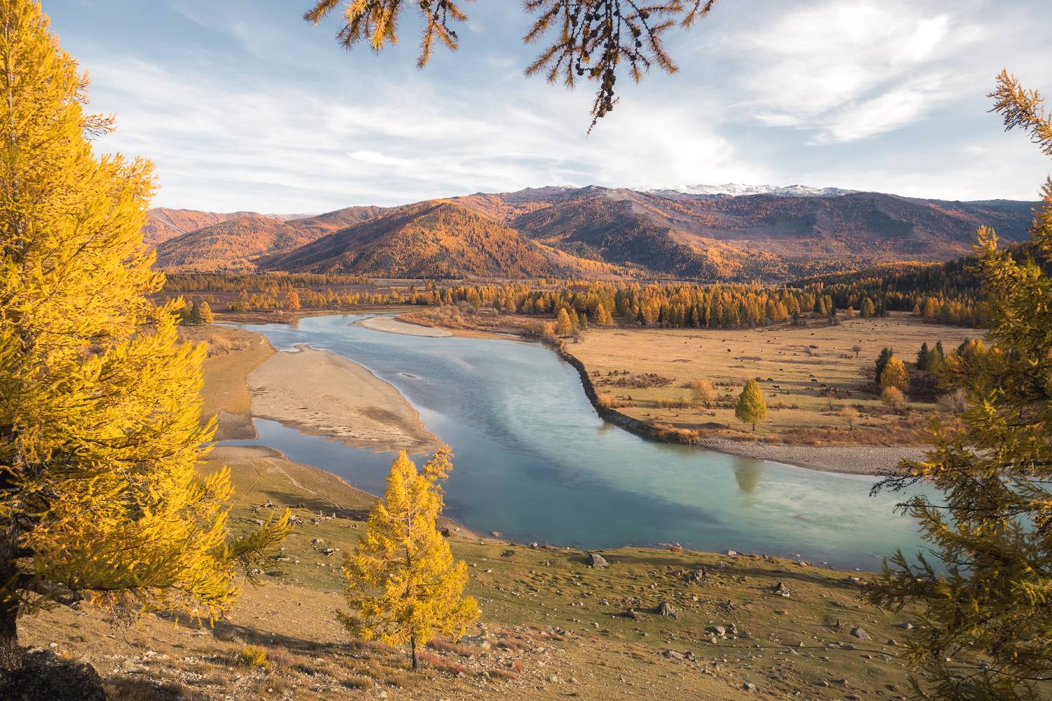 алтай, джазатор, осень, Александр Писарев