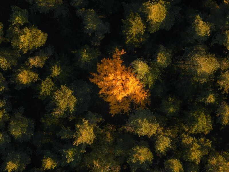 Валаам Валаамские фактуры фото превью