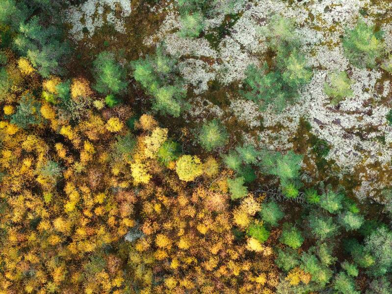 Валаам Валаамские фактуры фото превью