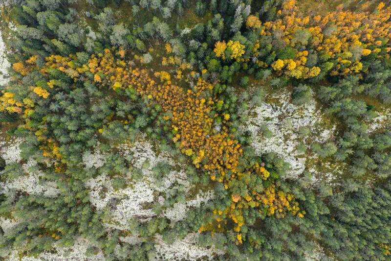 Валаам Валаамские фактуры фото превью