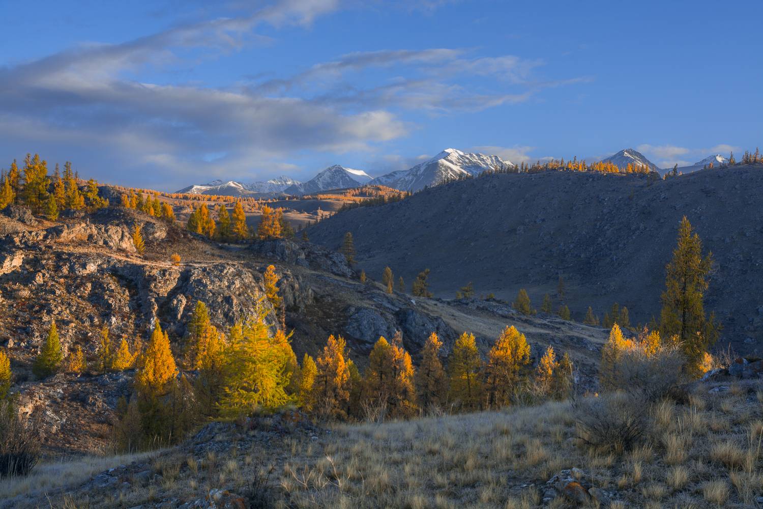 россия, горный алтай,осень,утро, первые лучи солнца, Андрей Поляков