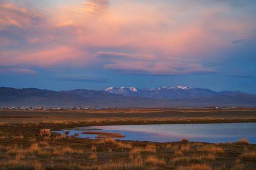 Чуйская степь