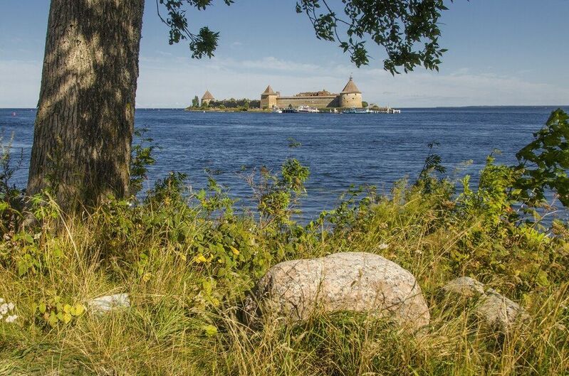 фото превью