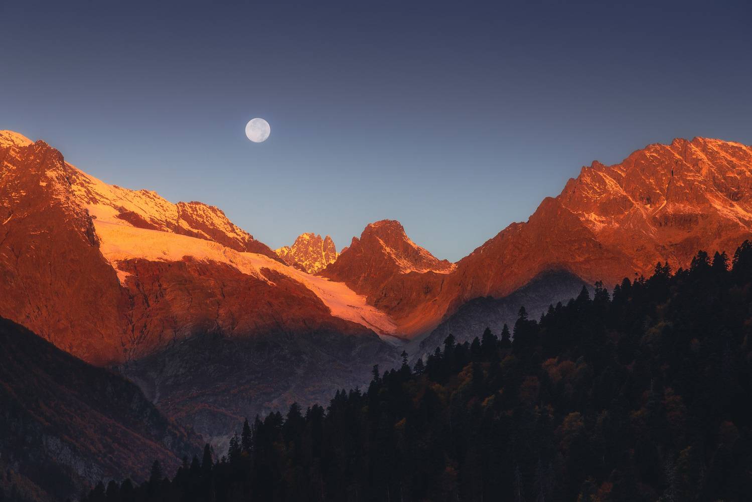 , Силантьев Даниил