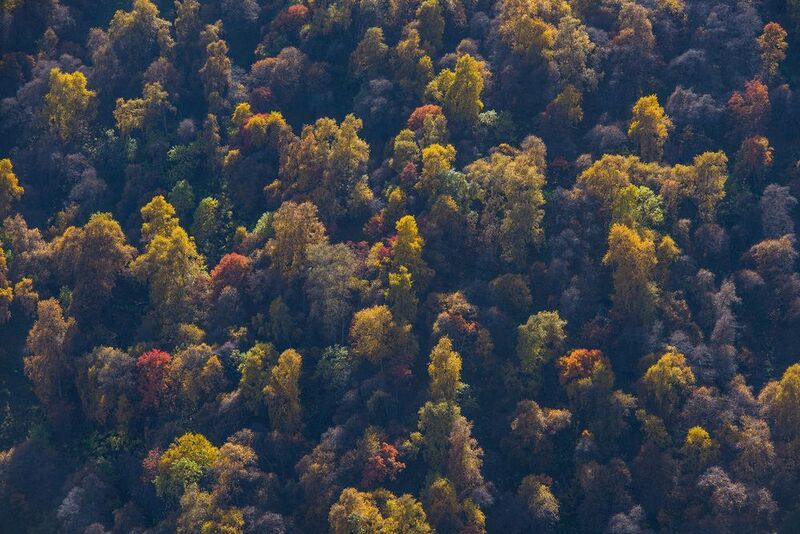 северное приэльбрусье, урочище аурсентх, кабардино-балкария Цвета осени фото превью