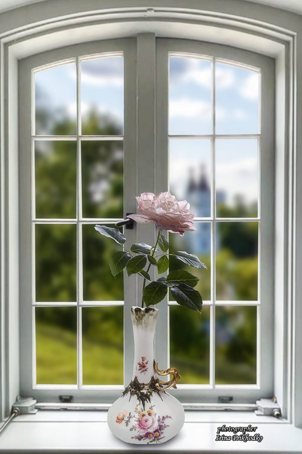 натюрморт, окно, цветы, роза, чайная роза, Приходько Ирина