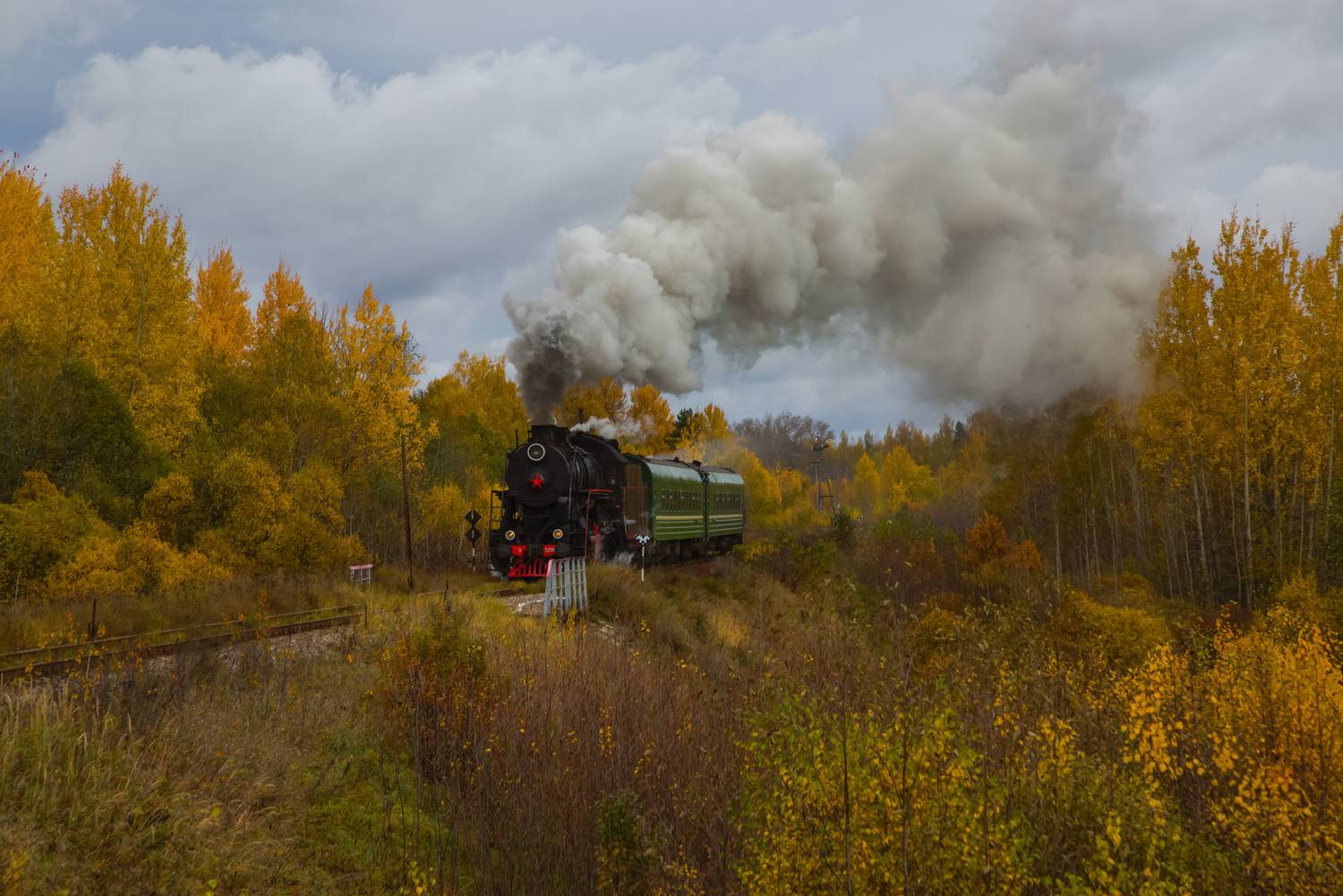 паровоз, осень, пейзаж, Мурзинов Виктор