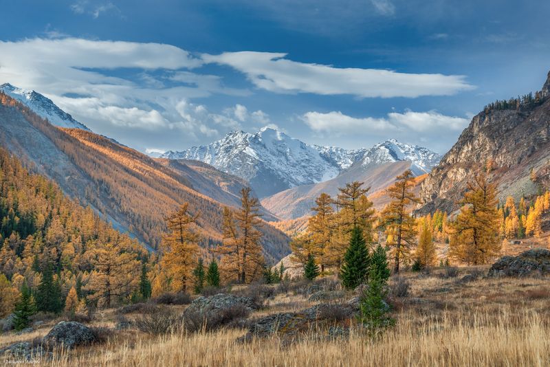 алтай, горный алтай, природа, осень, золотая осень, горы, вершина двойная, северочуйский хребет *** фото превью