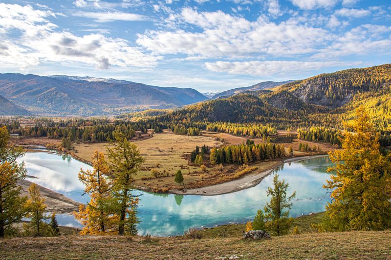 алтай Джазатор фото превью