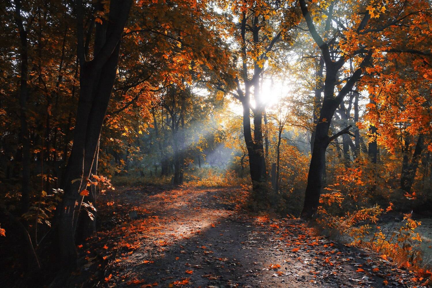 , Екатерина