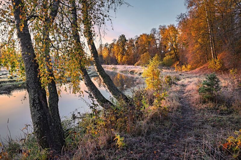 ** фото превью