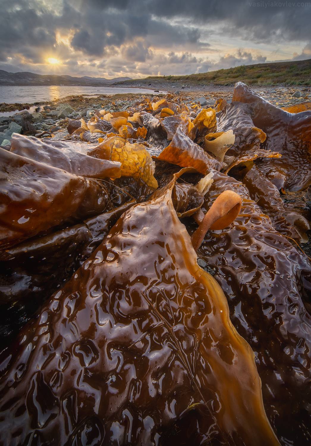 , Василий Яковлев