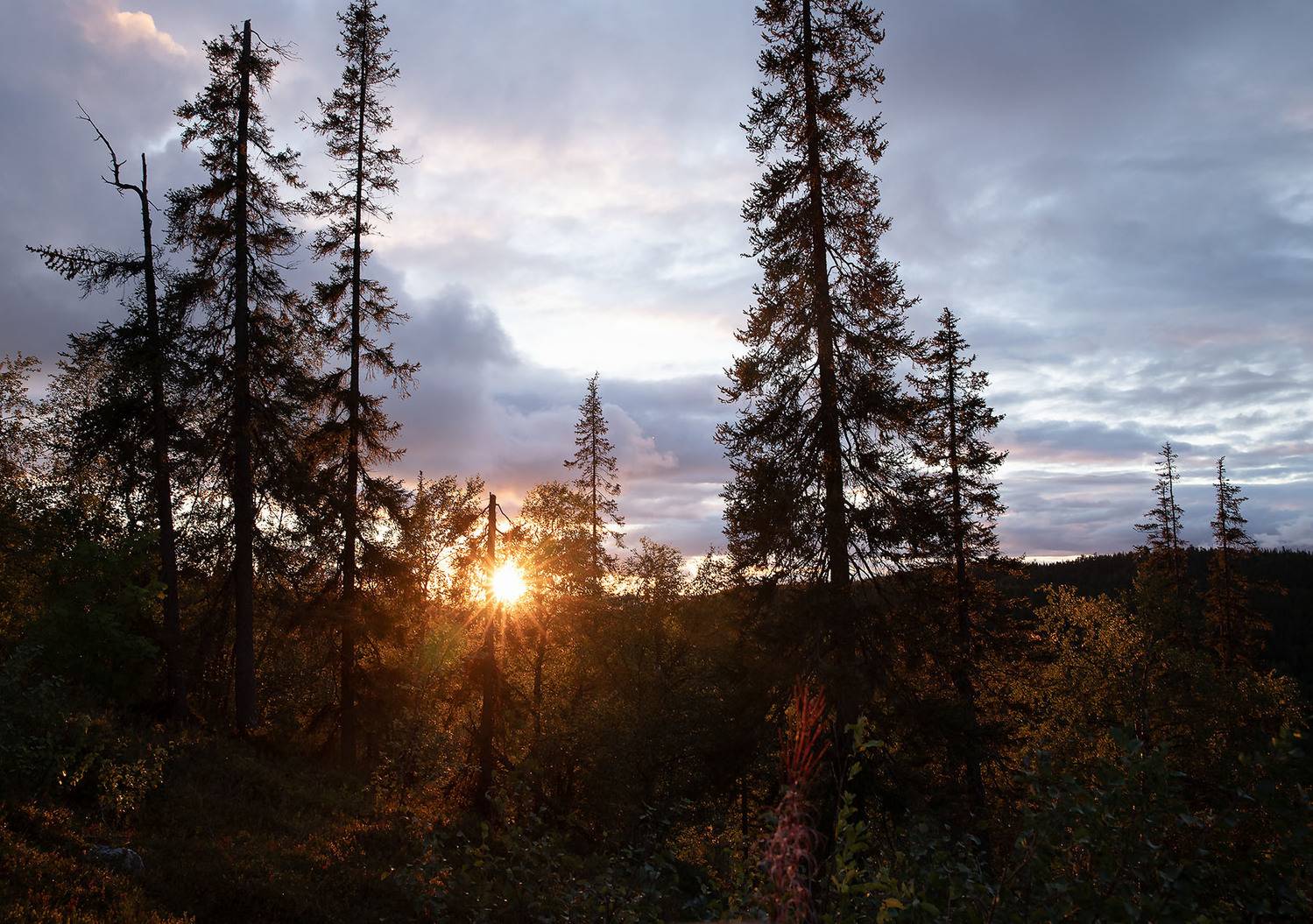 пейзаж, заполярье, север, природа, красота, landscape, north, nature, beautiful, Стукалова Юлия