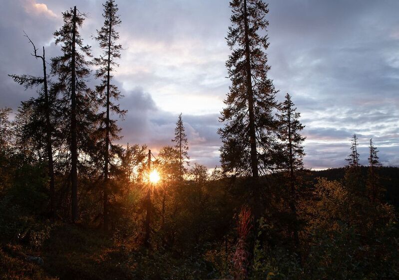 пейзаж, заполярье, север, природа, красота, landscape, north, nature, beautiful Красота заполярной осени фото превью