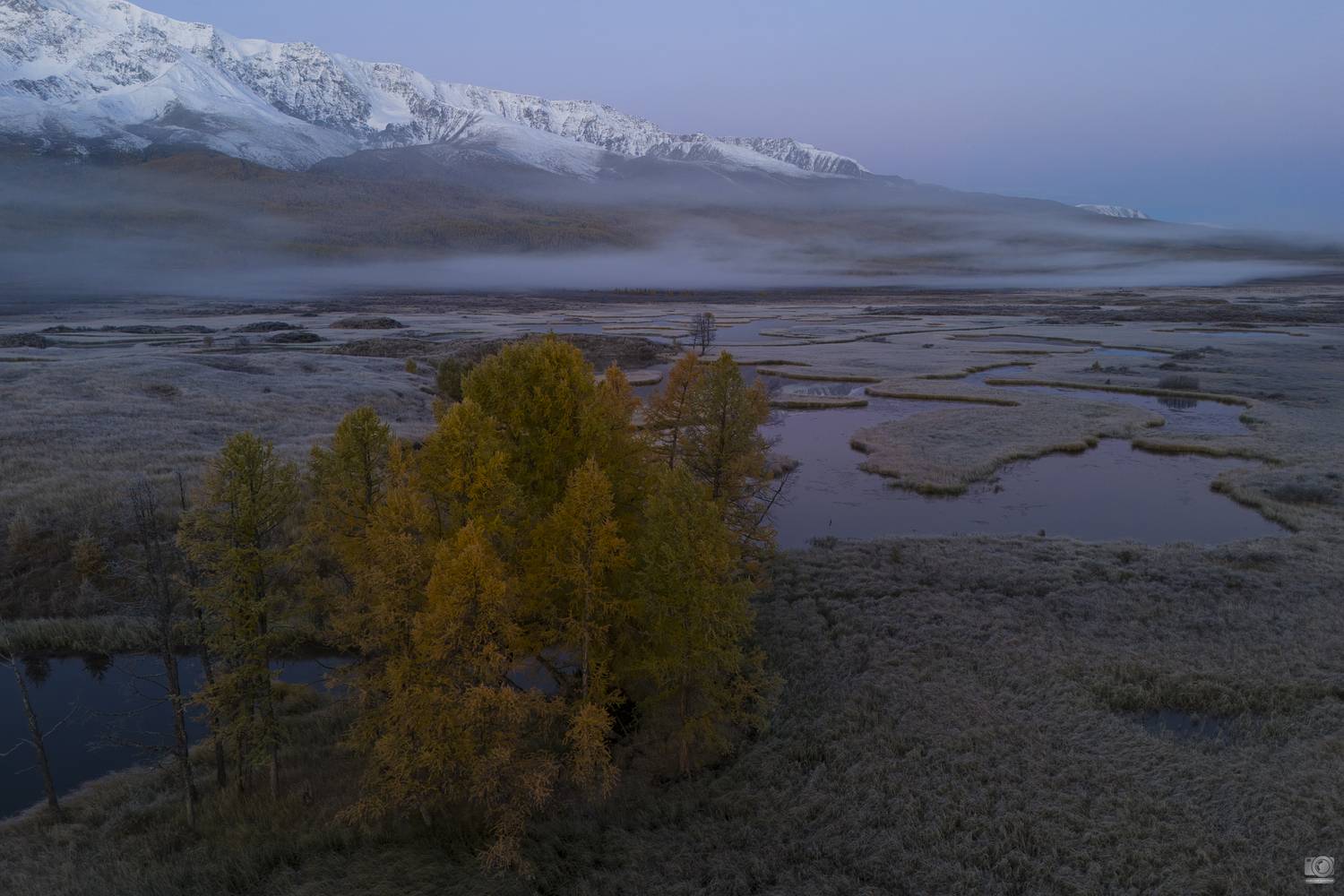 алтай осень краски, Dmitry Kovalev