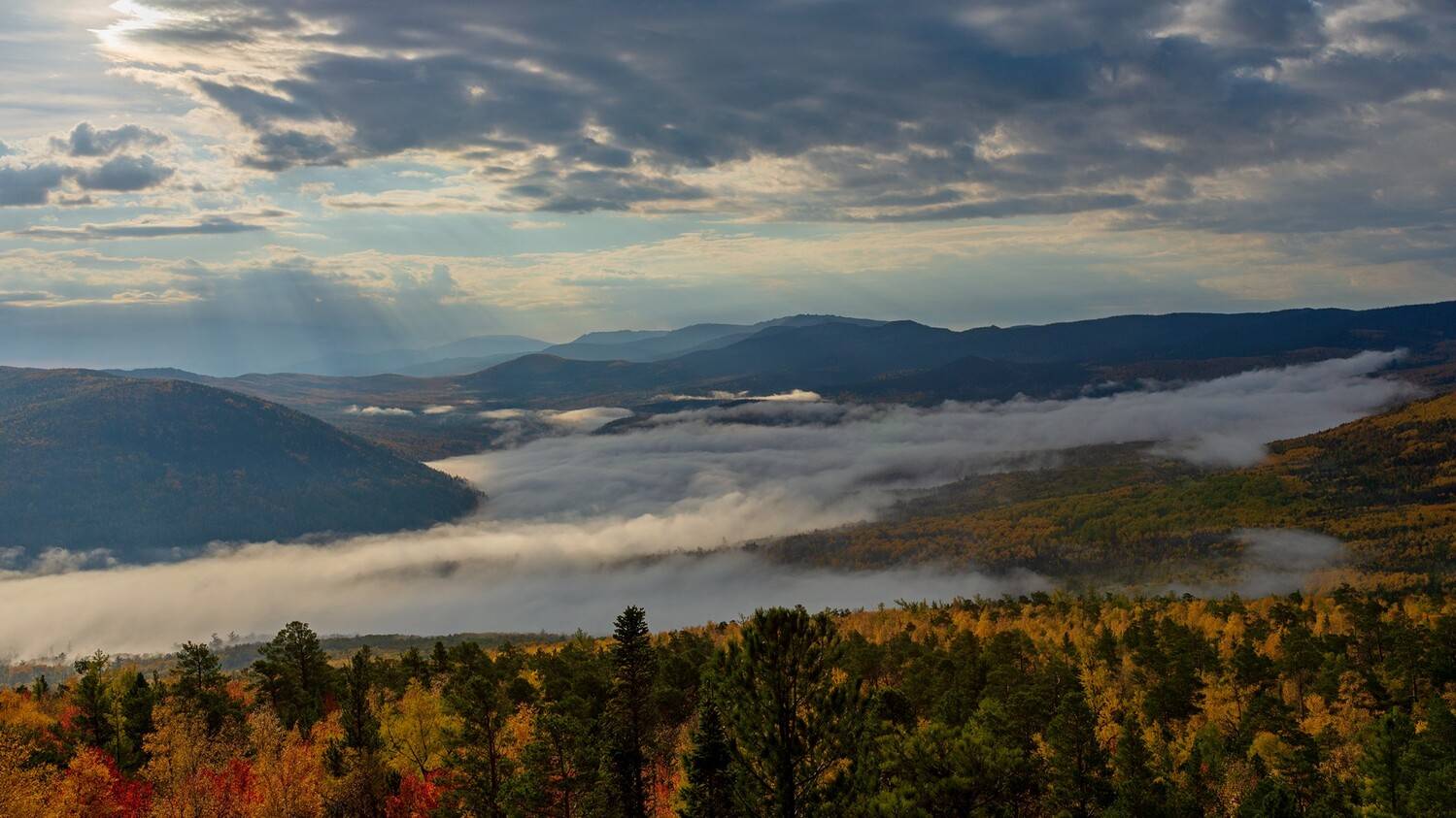 кутурчин осень, Беляев Юрий