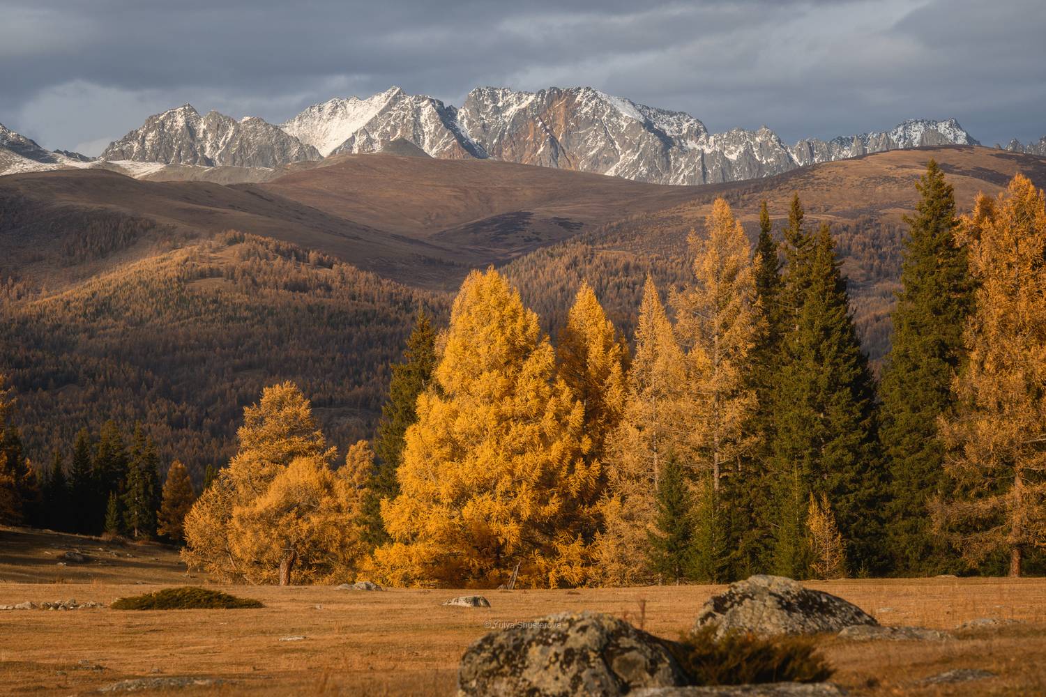 джазатор,горный алтай, Юлия Шустерова