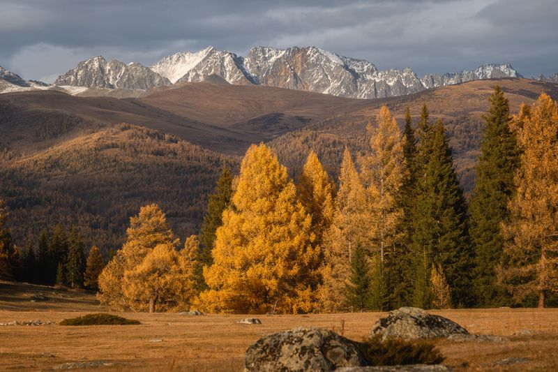 джазатор,горный алтай \